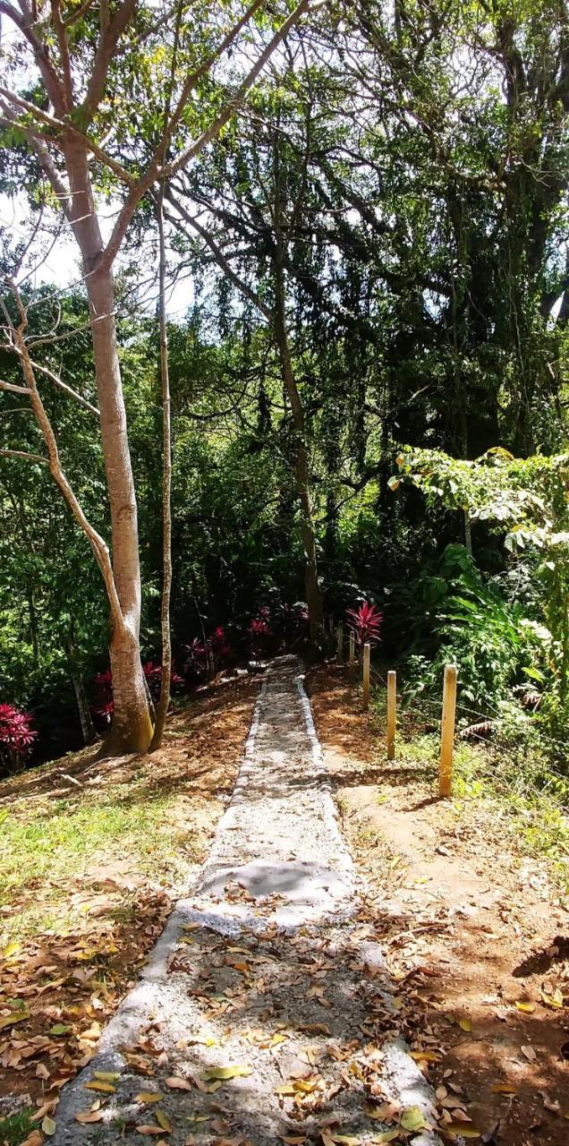 Hotel Los Cielos Del Caribe Cahuita Bagian luar foto