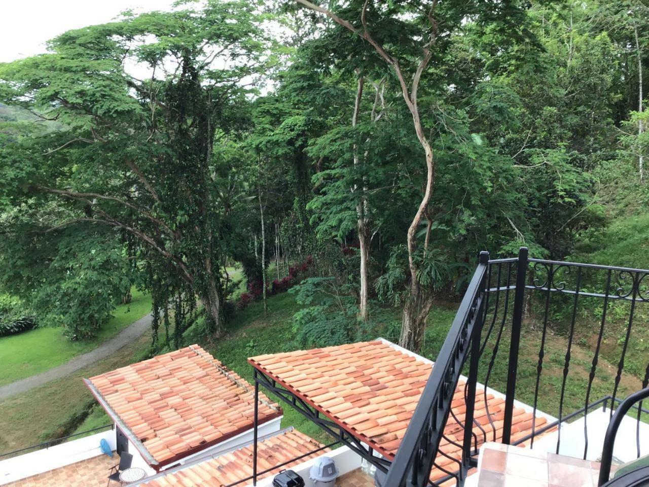 Hotel Los Cielos Del Caribe Cahuita Bagian luar foto