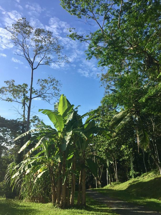 Hotel Los Cielos Del Caribe Cahuita Bagian luar foto